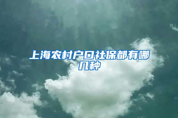 上海农村户口社保都有哪几种