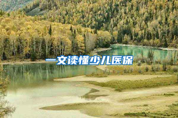 一文读懂少儿医保