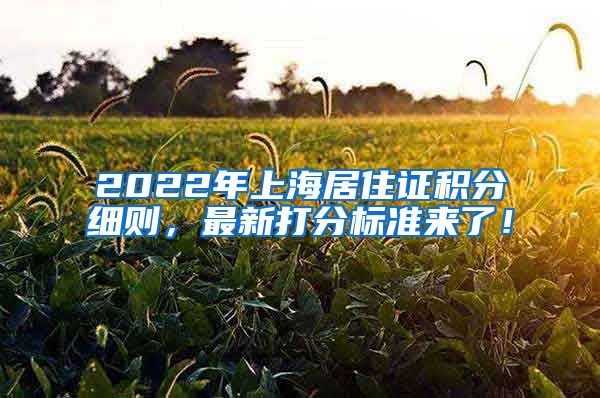 2022年上海居住证积分细则，最新打分标准来了！