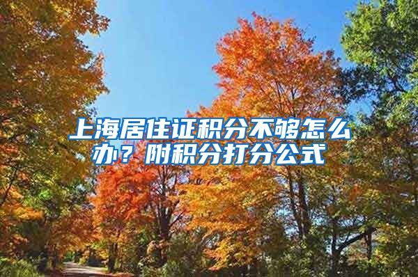 上海居住证积分不够怎么办？附积分打分公式