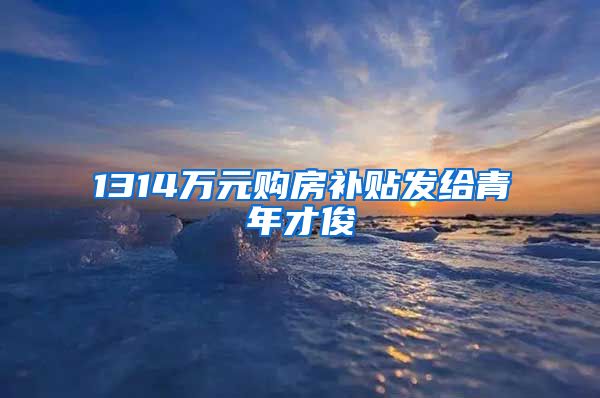 1314万元购房补贴发给青年才俊