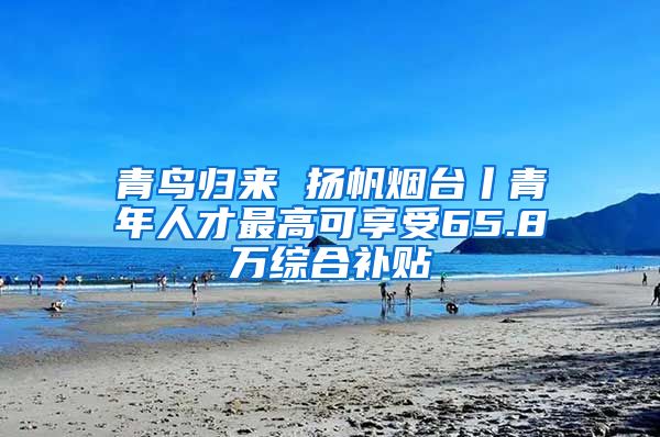 青鸟归来 扬帆烟台丨青年人才最高可享受65.8万综合补贴