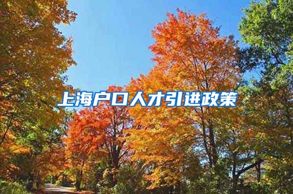 上海户口人才引进政策