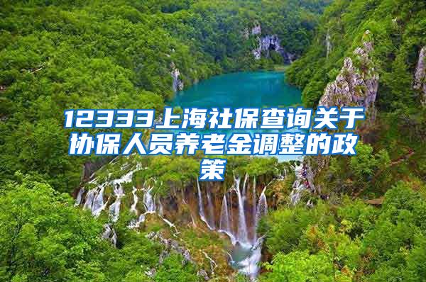 12333上海社保查询关于协保人员养老金调整的政策