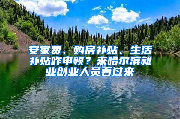 安家费、购房补贴、生活补贴咋申领？来哈尔滨就业创业人员看过来