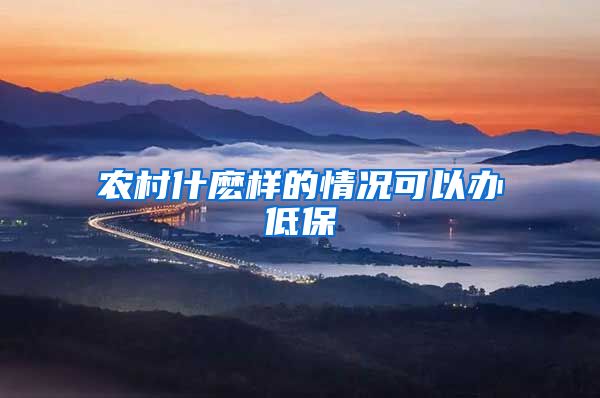 农村什麽样的情况可以办低保