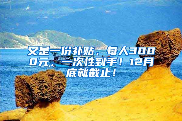 又是一份补贴，每人3000元，一次性到手！12月底就截止！