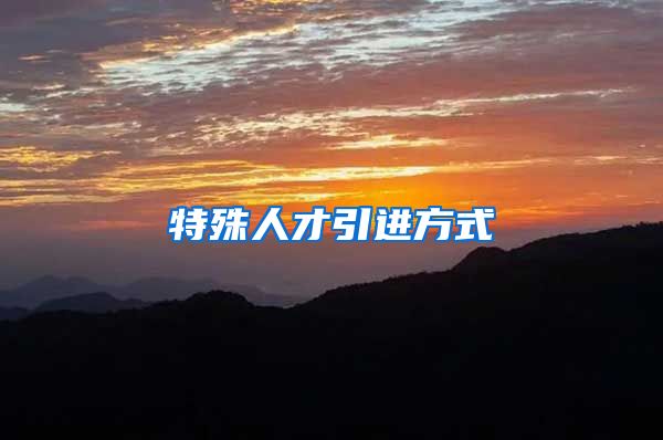 特殊人才引进方式