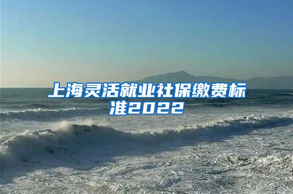 上海灵活就业社保缴费标准2022