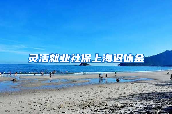 灵活就业社保上海退休金