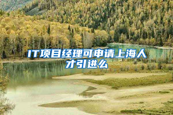 IT项目经理可申请上海人才引进么