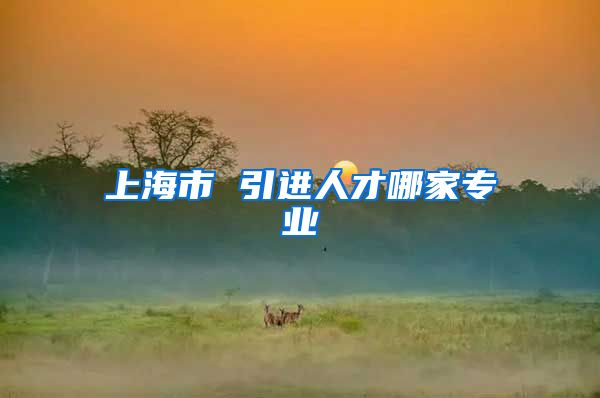上海市 引进人才哪家专业