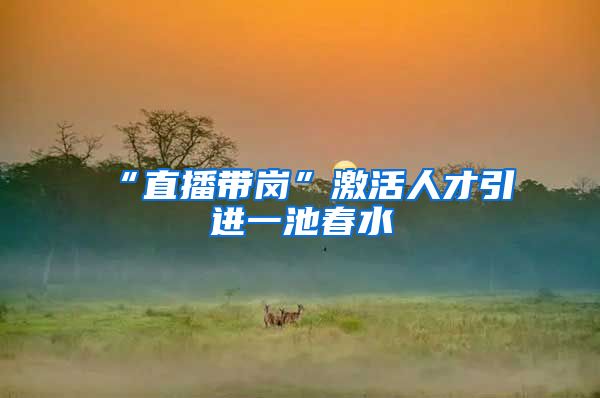 “直播带岗”激活人才引进一池春水