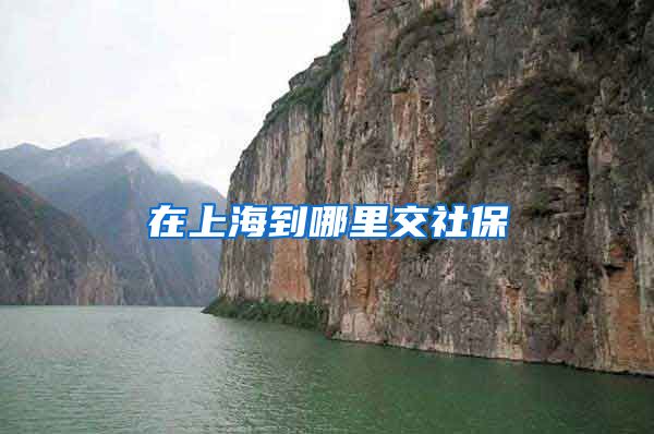 在上海到哪里交社保