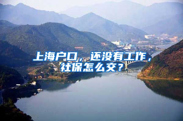 上海户口，还没有工作，社保怎么交？