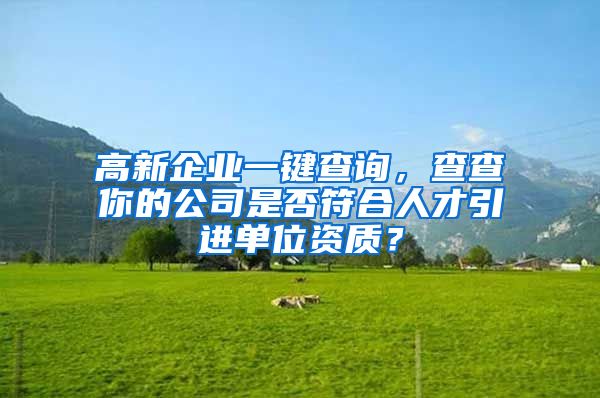 高新企业一键查询，查查你的公司是否符合人才引进单位资质？