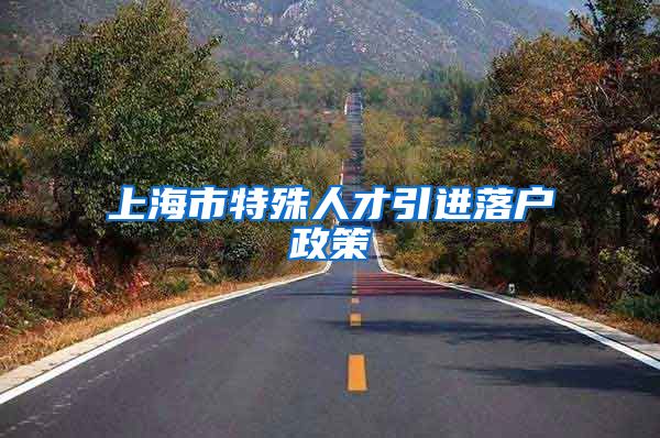 上海市特殊人才引进落户政策