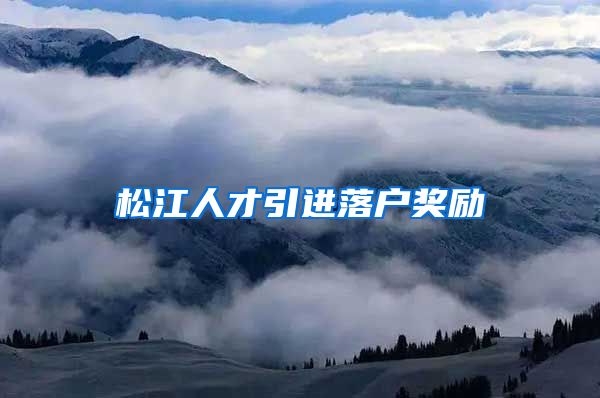 松江人才引进落户奖励