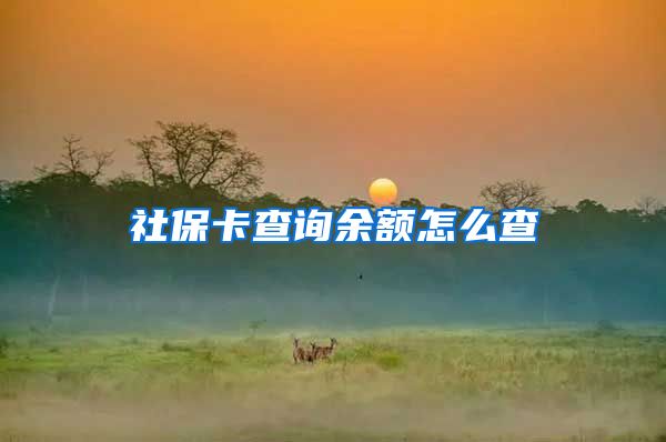 社保卡查询余额怎么查