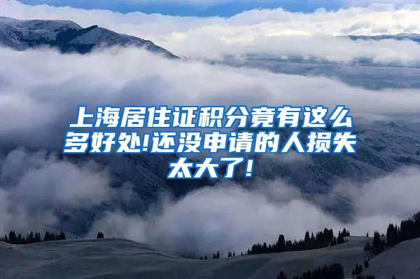 上海居住证积分竟有这么多好处!还没申请的人损失太大了!
