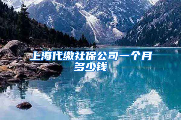 上海代缴社保公司一个月多少钱