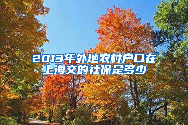2013年外地农村户口在上海交的社保是多少