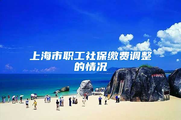 上海市职工社保缴费调整的情况