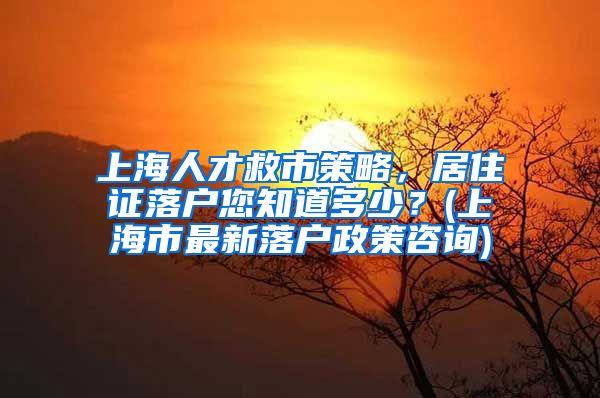 上海人才救市策略，居住证落户您知道多少？(上海市最新落户政策咨询)