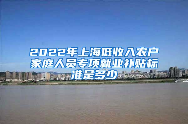 2022年上海低收入农户家庭人员专项就业补贴标准是多少