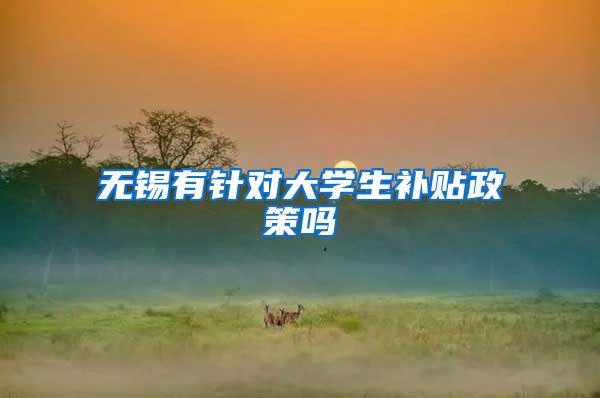 无锡有针对大学生补贴政策吗