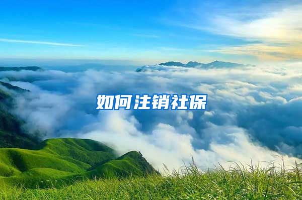 如何注销社保