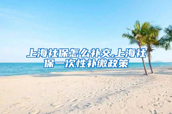 上海社保怎么补交,上海社保一次性补缴政策