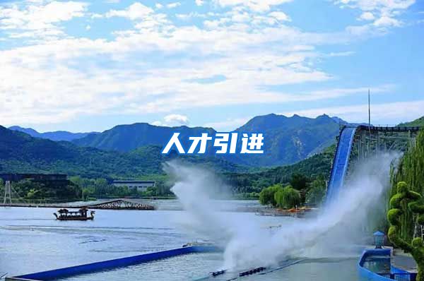 人才引进