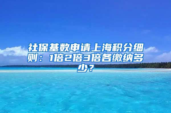 社保基数申请上海积分细则：1倍2倍3倍各缴纳多少？