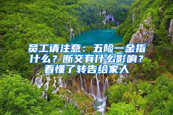 员工请注意：五险一金指什么？断交有什么影响？看懂了转告给家人