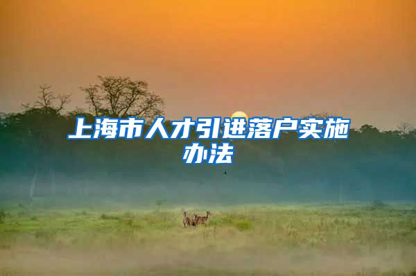 上海市人才引进落户实施办法