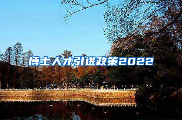 博士人才引进政策2022