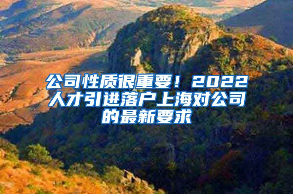 公司性质很重要！2022人才引进落户上海对公司的最新要求