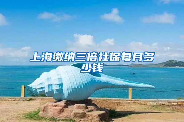 上海缴纳三倍社保每月多少钱