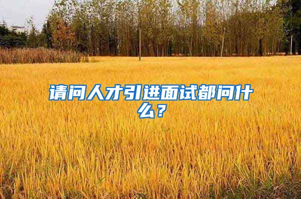请问人才引进面试都问什么？