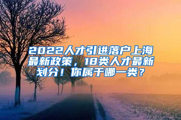 2022人才引进落户上海最新政策，18类人才最新划分！你属于哪一类？
