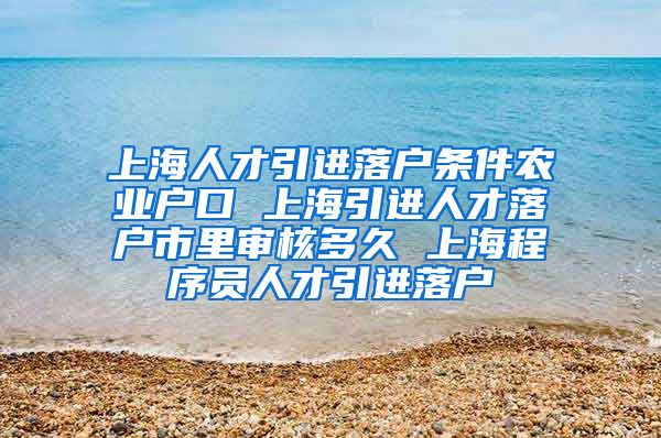 上海人才引进落户条件农业户口 上海引进人才落户市里审核多久 上海程序员人才引进落户