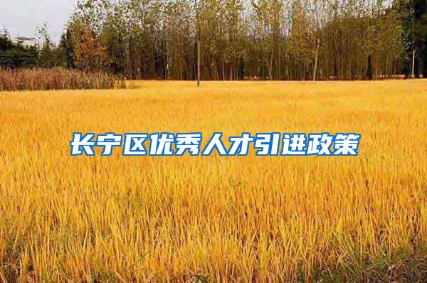 长宁区优秀人才引进政策