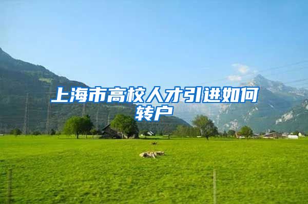 上海市高校人才引进如何转户