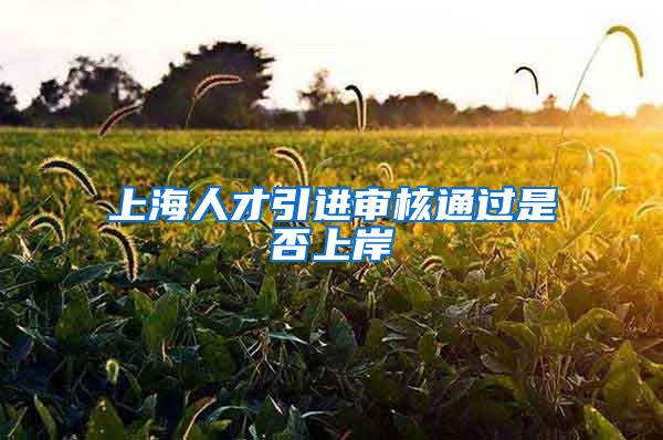 上海人才引进审核通过是否上岸
