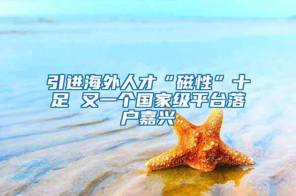 引进海外人才“磁性”十足 又一个国家级平台落户嘉兴