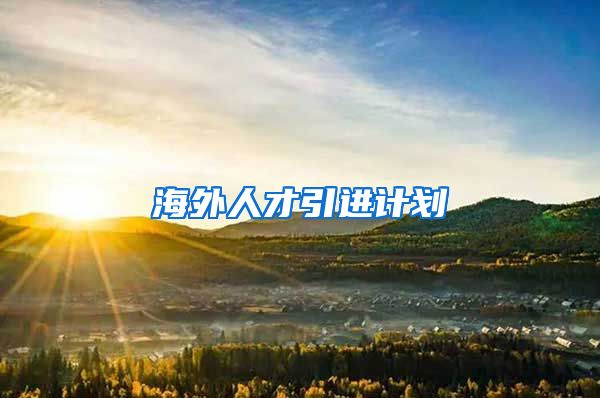 海外人才引进计划