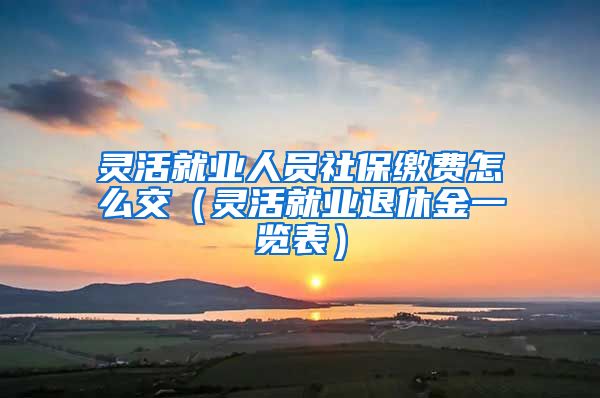 灵活就业人员社保缴费怎么交（灵活就业退休金一览表）