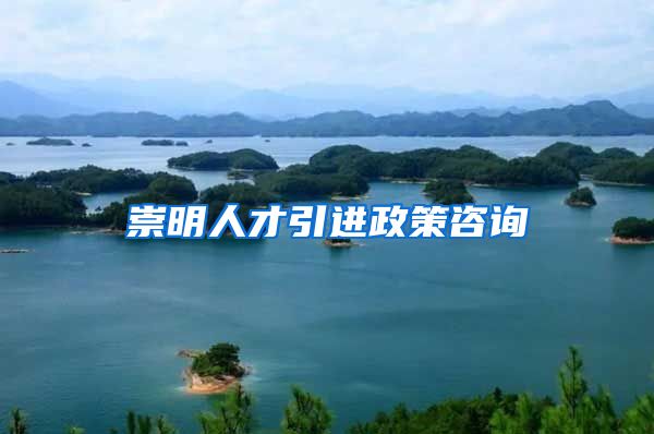 崇明人才引进政策咨询