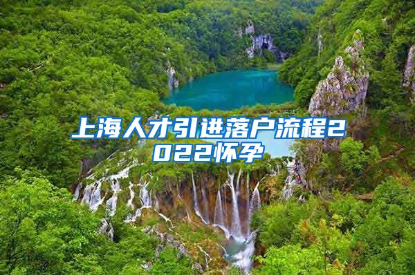 上海人才引进落户流程2022怀孕